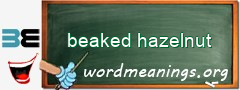 WordMeaning blackboard for beaked hazelnut